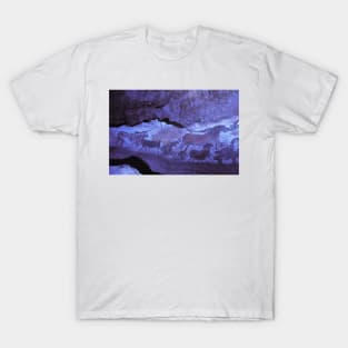 Lascaux cave paintings (E448/0114) T-Shirt